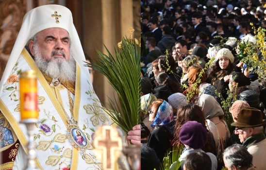 PFlorii2015
