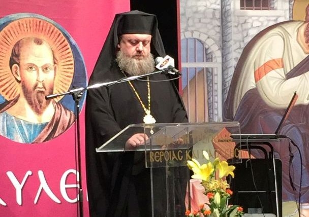 pavlia 2 w747 h800 q100b